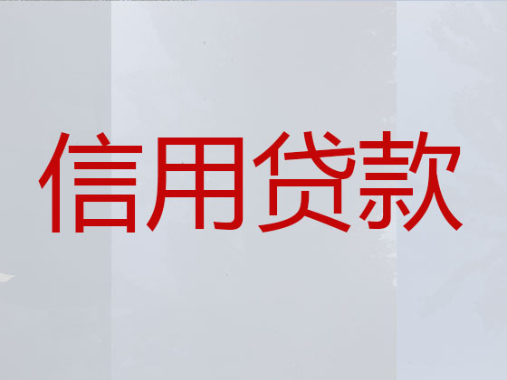 咸阳抵押贷款公司-银行信用贷款
